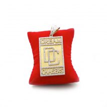 Hanger 18 karaat met DC Logo bezet  zirkonia stenen